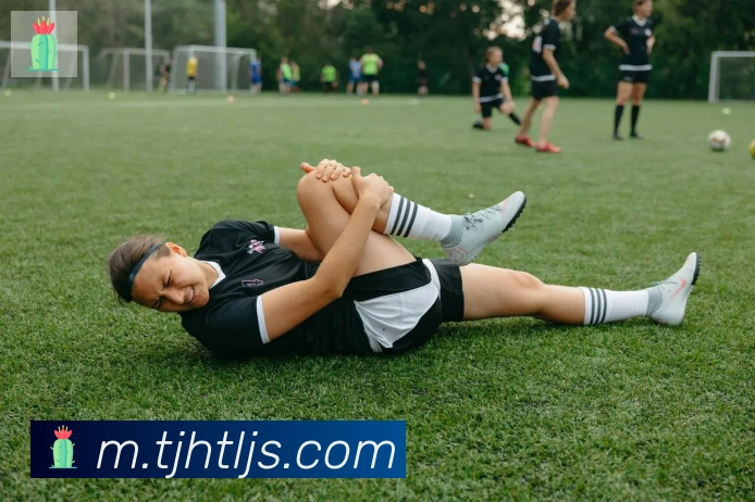 博亚官网品牌故事