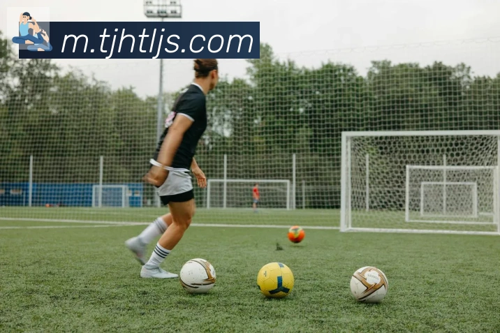 博亚官网服务体系