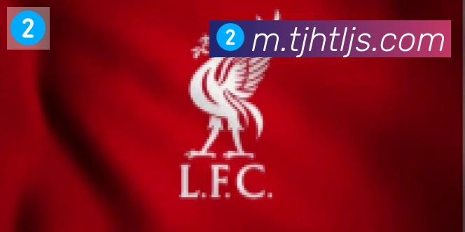 博亚官网合作伙伴