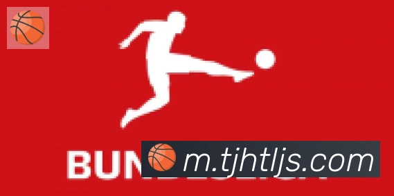 博亚官网合作伙伴